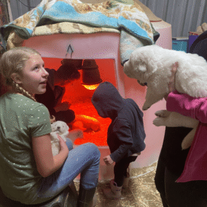 930744790 Inside Our Maremma Puppy Program