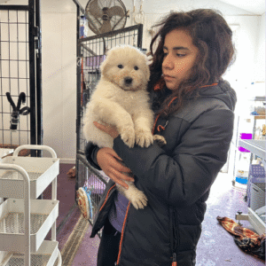 1928515210 Inside Our Maremma Puppy Program