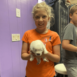 3150379290 Inside Our Maremma Puppy Program