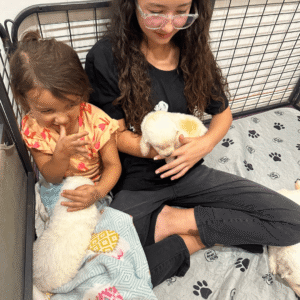 1680398841 Inside Our Maremma Puppy Program