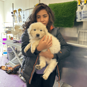 2718171278 Inside Our Maremma Puppy Program