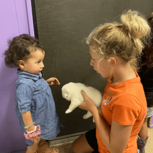 3124951682 Inside Our Maremma Puppy Program