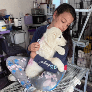 816100304 Inside Our Maremma Puppy Program
