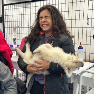 34812087 Inside Our Maremma Puppy Program