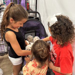 3435581792 Inside Our Maremma Puppy Program