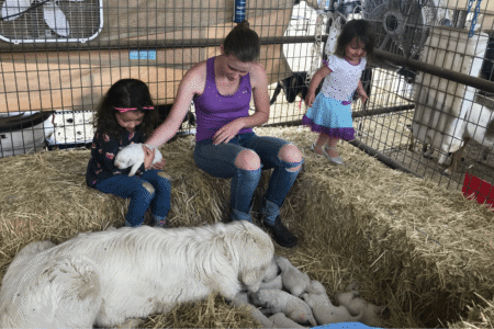 1718405385 Inside Our Maremma Puppy Program