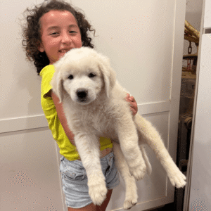 3358139401 Inside Our Maremma Puppy Program