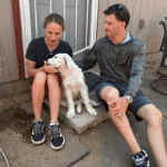 3890606184 Success Stories: Prancing Pony Maremmas Thriving Across North America