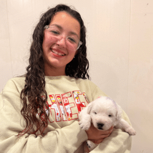 257964287 Inside Our Maremma Puppy Program
