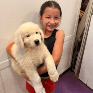 2829760821 Inside Our Maremma Puppy Program