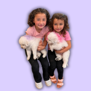 1070221543 Inside Our Maremma Puppy Program