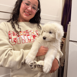 3256005275 Inside Our Maremma Puppy Program