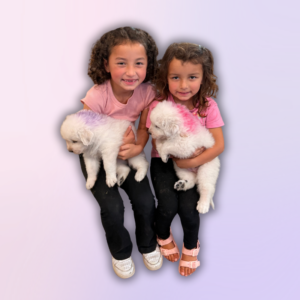 486571256 Inside Our Maremma Puppy Program