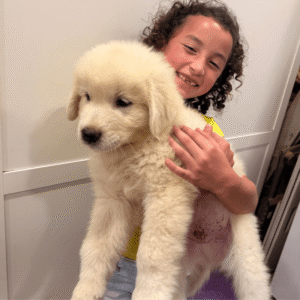 1507078457 Inside Our Maremma Puppy Program