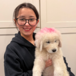 Pax x Electra 11/15/25 Maremma Litter