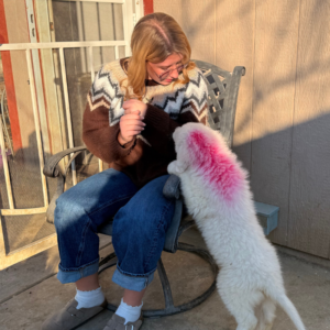 4277495507 Inside Our Maremma Puppy Program