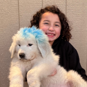 3141482858 Inside Our Maremma Puppy Program