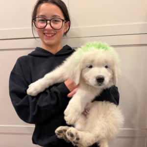 3878657227 Inside Our Maremma Puppy Program