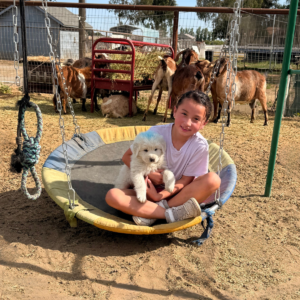3604960774 Inside Our Maremma Puppy Program