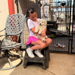 2330791918 Inside Our Maremma Puppy Program