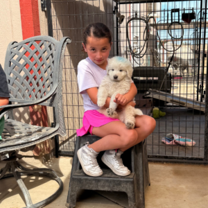 2882456185 Inside Our Maremma Puppy Program
