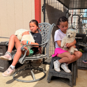3511121519 Inside Our Maremma Puppy Program