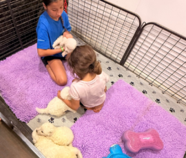 Pippin & Electra Litter 5/26