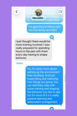 3379213422 Success Stories: Prancing Pony Maremmas Thriving Across North America
