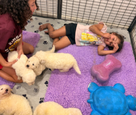 Pippin & Electra Litter 5/26