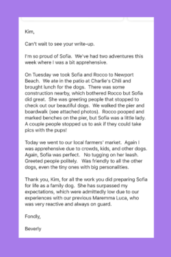 123835141 Success Stories: Prancing Pony Maremmas Thriving Across North America