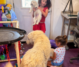 Pippin & Marisa Litter 5/26