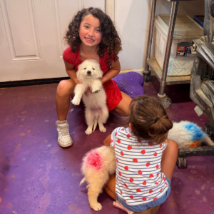 352138273 Inside Our Maremma Puppy Program