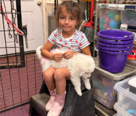 Pippin & Nova Litter 5/26