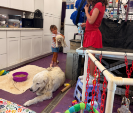 Pippin & Marisa Litter 5/26