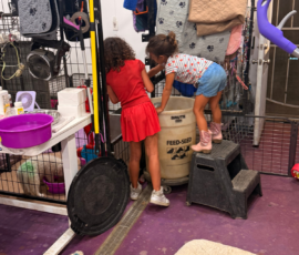 Pippin & Marisa Litter 5/26