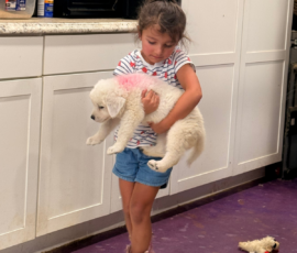 Pippin & Electra Litter 5/26