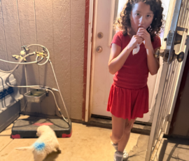 Pippin & Nova Litter 5/26