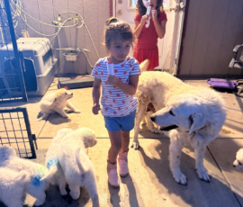 Pippin & Marisa Litter 5/26