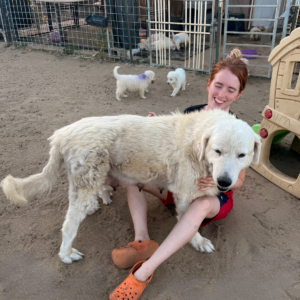 1461828945 Inside Our Maremma Puppy Program