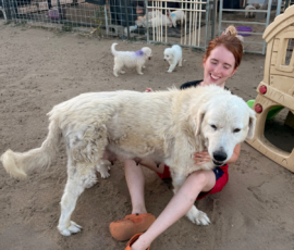 Pippin & Marisa Litter 5/26