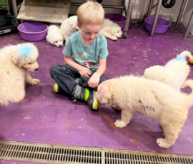 Pippin & Marisa Litter 5/26