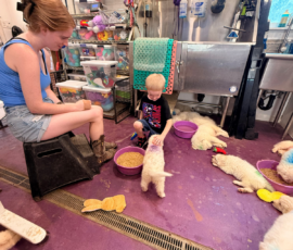 Pippin & Marisa Litter 5/26