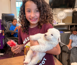 Pippin & Electra Litter 5/26