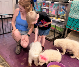Pippin & Marisa Litter 5/26