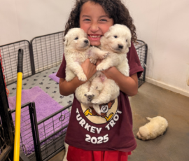 Pippin & Electra Litter 5/26