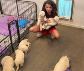 Pippin & Electra Litter 5/26