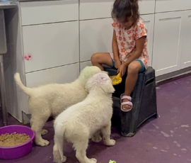 Pippin & Marisa Litter 5/26