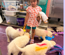 Pippin & Marisa Litter 5/26
