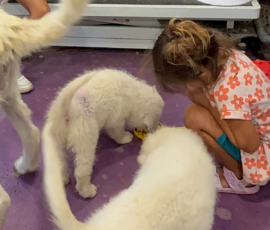 Pippin & Marisa Litter 5/26