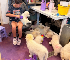 Pippin & Marisa Litter 5/26